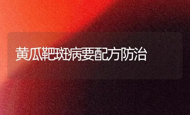 黄瓜靶斑病要配方防治 | 蔬菜种植