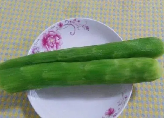 果实成熟|莴苣什么时候上市 成熟期大概多少天