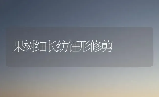 果树细长纺锤形修剪 | 瓜果种植