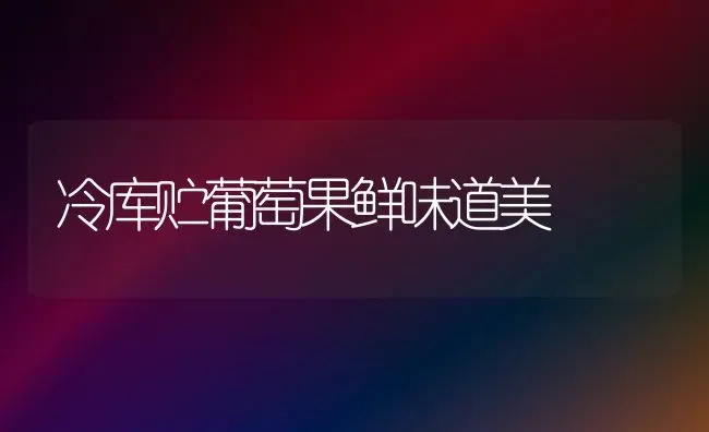 冷库贮葡萄果鲜味道美 | 瓜果种植