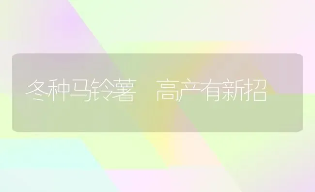 冬种马铃薯 高产有新招 | 粮油作物种植