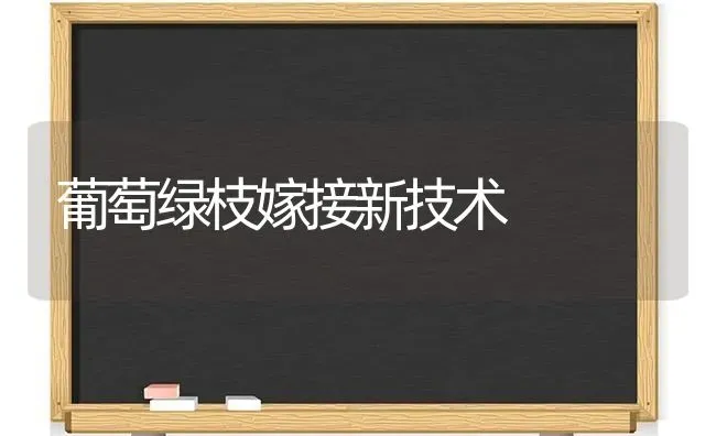 葡萄绿枝嫁接新技术 | 瓜果种植