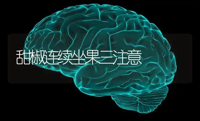 甜椒连续坐果三注意 | 瓜果种植