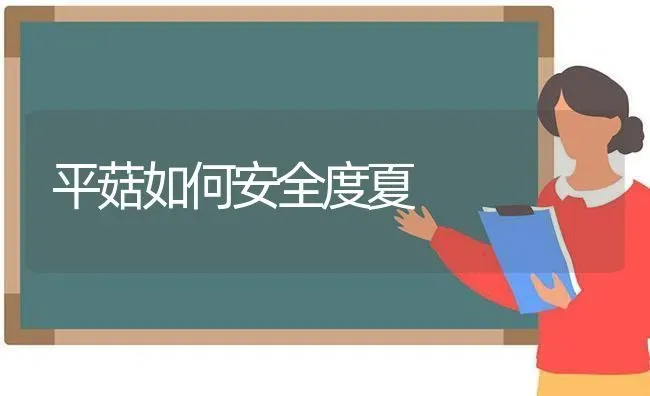 平菇如何安全度夏 | 食用菌种植