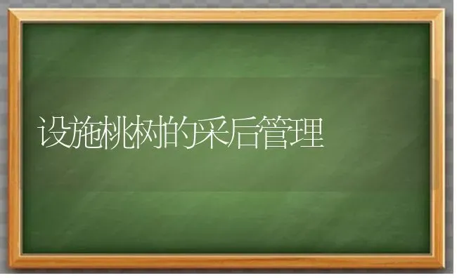 设施桃树的采后管理 | 瓜果种植