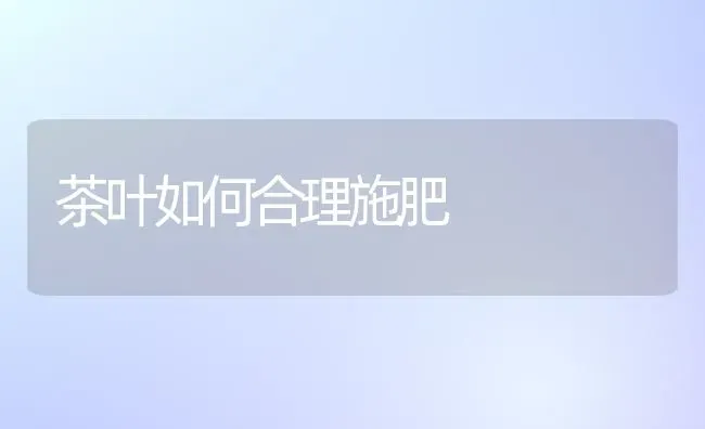 茶叶如何合理施肥 | 种植肥料施肥