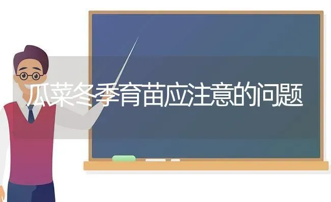 瓜菜冬季育苗应注意的问题 | 蔬菜种植