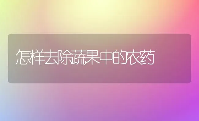 怎样去除蔬果中的农药 | 瓜果种植