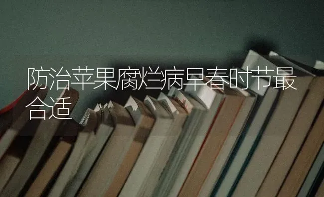 防治苹果腐烂病早春时节最合适 | 瓜果种植