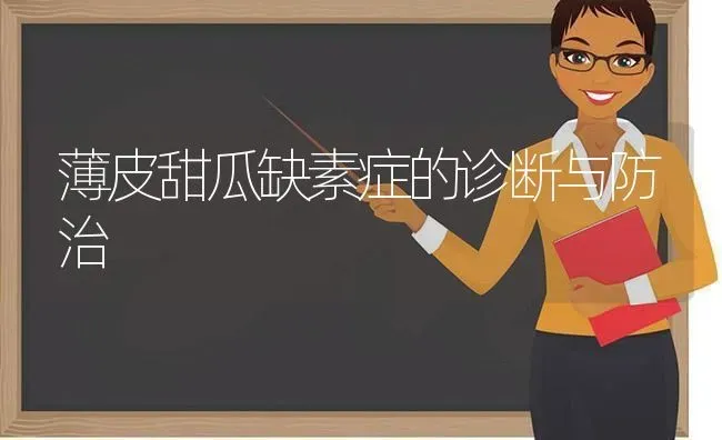 薄皮甜瓜缺素症的诊断与防治 | 瓜果种植