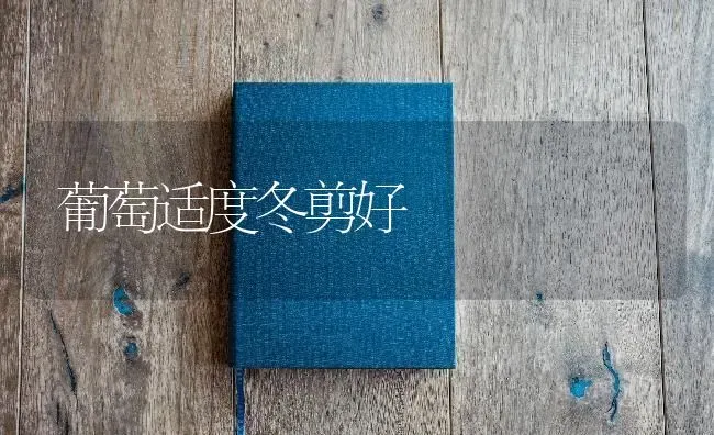 葡萄适度冬剪好 | 瓜果种植