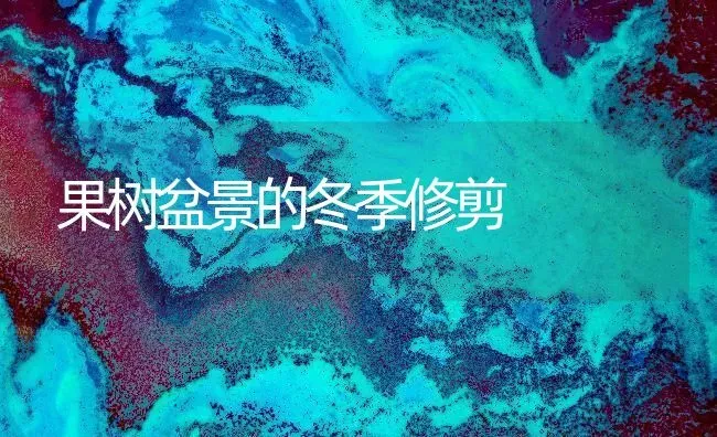 果树盆景的冬季修剪 | 瓜果种植