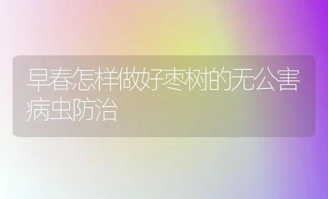 早春怎样做好枣树的无公害病虫防治 | 瓜果种植