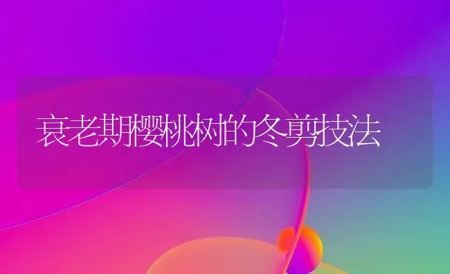 衰老期樱桃树的冬剪技法 | 瓜果种植