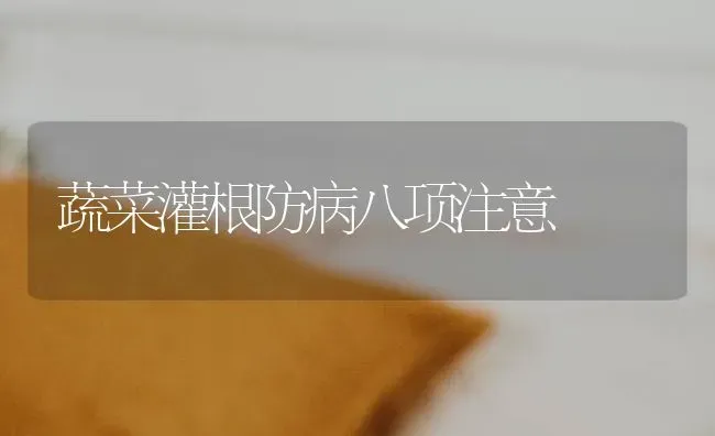 蔬菜灌根防病八项注意 | 蔬菜种植