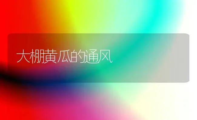 大棚黄瓜的通风 | 蔬菜种植