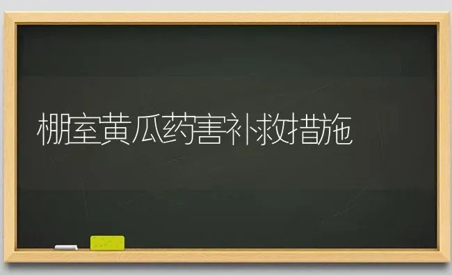 棚室黄瓜药害补救措施 | 蔬菜种植