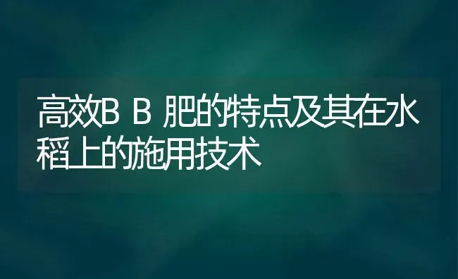 高效BB肥的特点及其在水稻上的施用技术 | 粮油作物种植