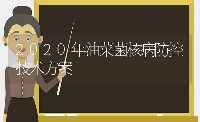 2020年油菜菌核病防控技术方案 | 粮油作物种植