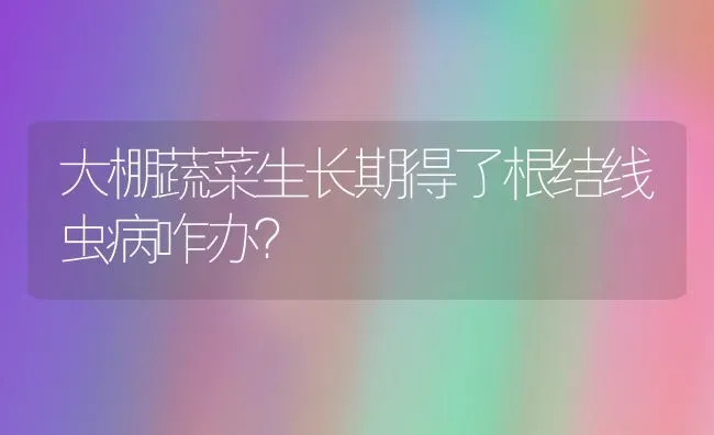 大棚蔬菜生长期得了根结线虫病咋办？ | 蔬菜种植