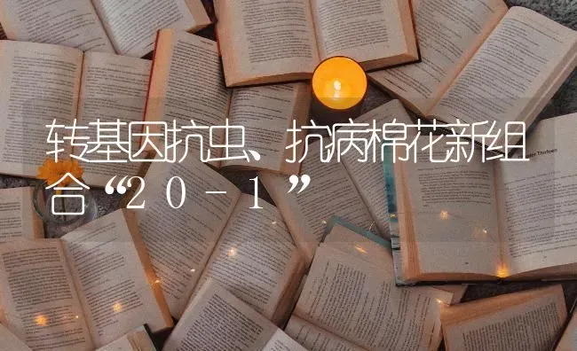 转基因抗虫、抗病棉花新组合“20-1” | 粮油作物种植