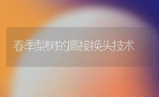 春季梨树的高接换头技术 | 瓜果种植