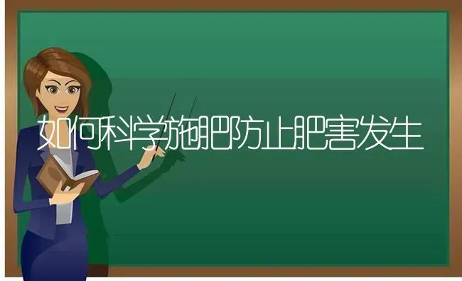 如何科学施肥防止肥害发生 | 种植肥料施肥