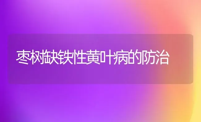 枣树缺铁性黄叶病的防治 | 瓜果种植