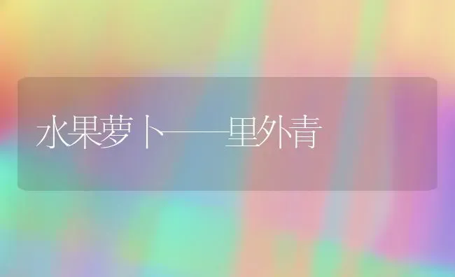 水果萝卜——里外青 | 瓜果种植