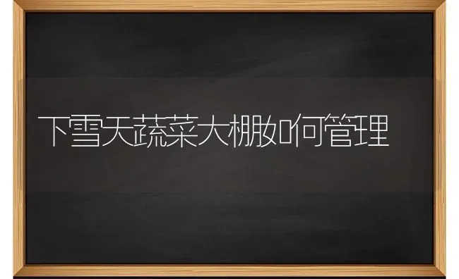 下雪天蔬菜大棚如何管理 | 蔬菜种植