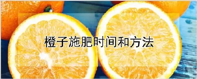 橙子施肥时间和方法 | 耕种资料
