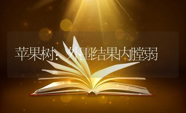 苹果树：外围结果内膛弱 | 瓜果种植
