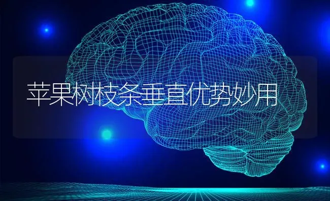 苹果树枝条垂直优势妙用 | 瓜果种植