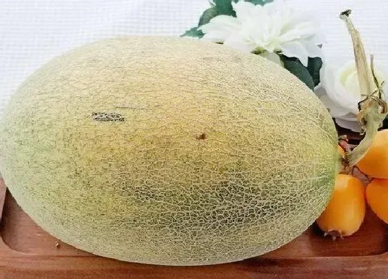 营养价值|哈密瓜和什么不能一起吃 4大不能和哈密瓜同食的食物
