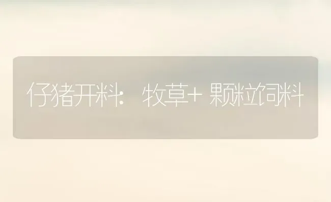 大棚蔬菜施肥这些肥料别用 | 蔬菜种植