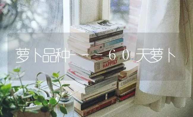 萝卜品种---60天萝卜 | 蔬菜种植