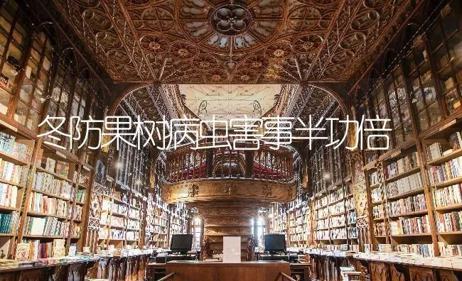 冬防果树病虫害事半功倍 | 瓜果种植