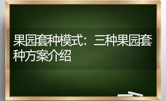 果园套种模式：三种果园套种方案介绍 | 瓜果种植