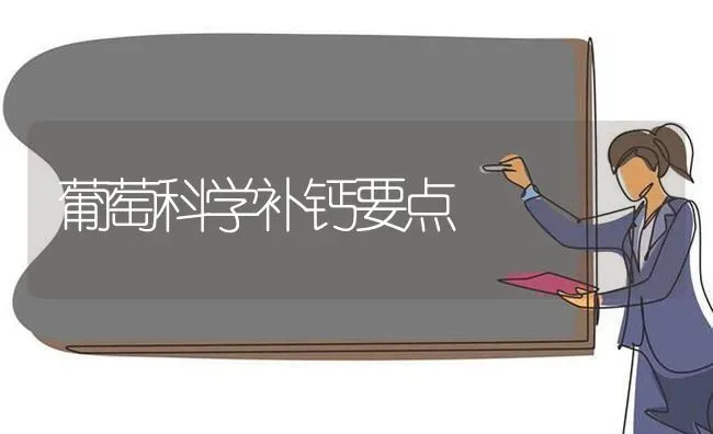 葡萄科学补钙要点 | 瓜果种植