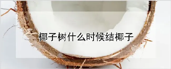 椰子树什么时候结椰子 | 养殖技术