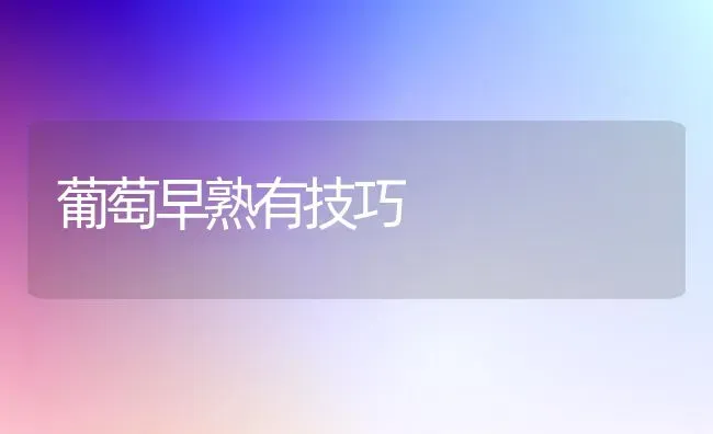 葡萄早熟有技巧 | 瓜果种植