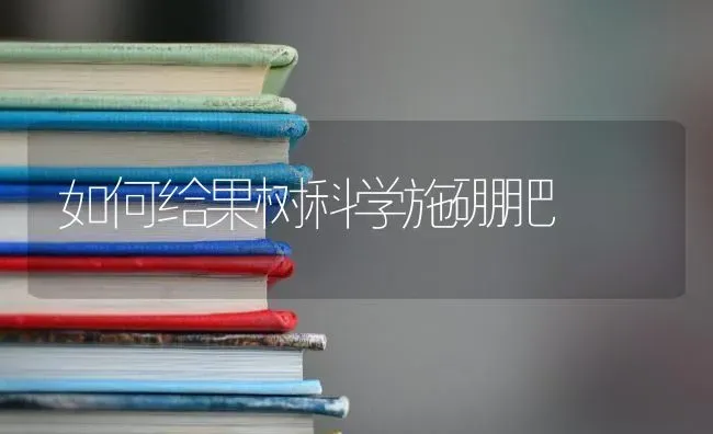 如何给果树科学施硼肥 | 瓜果种植