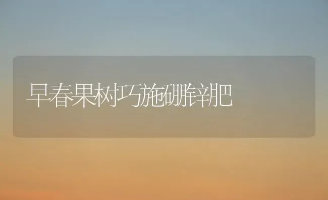 早春果树巧施硼锌肥 | 瓜果种植