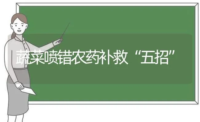 蔬菜喷错农药补救“五招” | 蔬菜种植