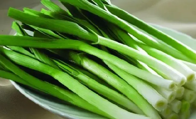 食用须知|蒜苗花能吃吗