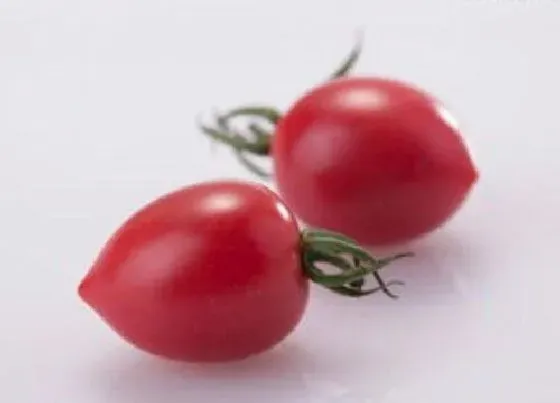 果实成熟|千禧果是几月份的水果