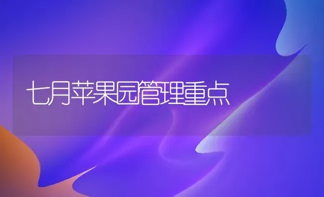 七月苹果园管理重点 | 瓜果种植