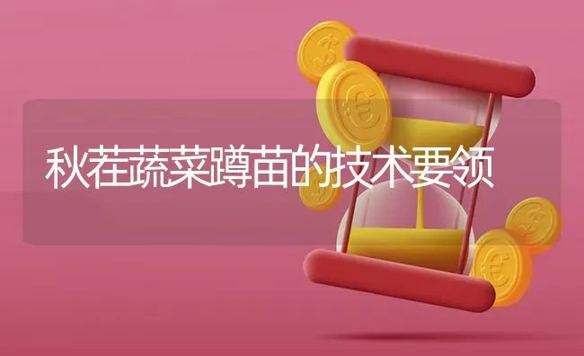 秋茬蔬菜蹲苗的技术要领 | 蔬菜种植