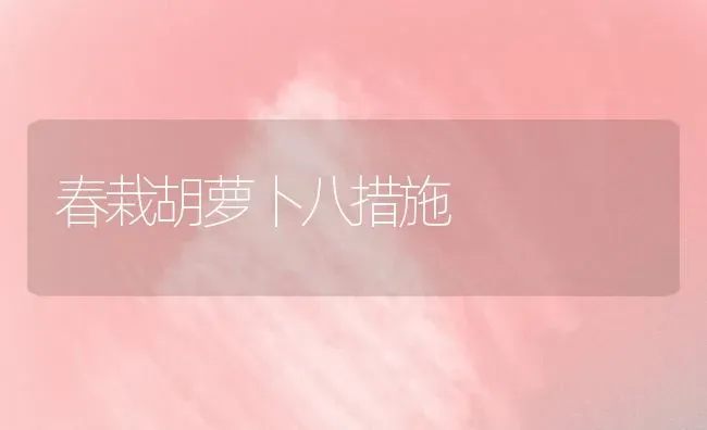 春栽胡萝卜八措施 | 蔬菜种植