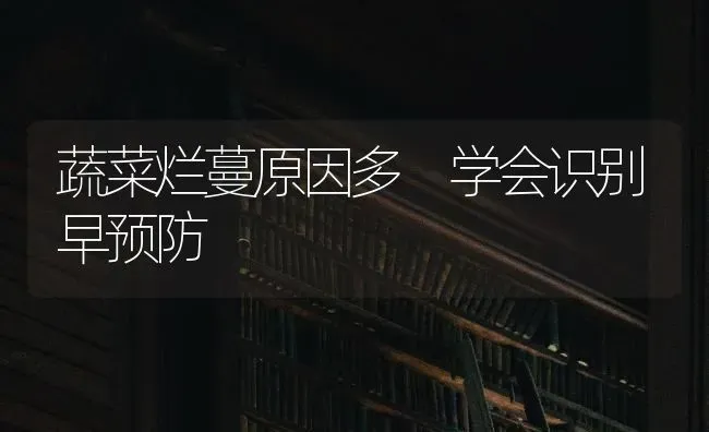 蔬菜烂蔓原因多 学会识别早预防 | 蔬菜种植